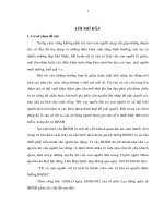 458 Thực trạng và các giải pháp nhằm hoàn thiện chế độ hưu trí tại TP.HCM.