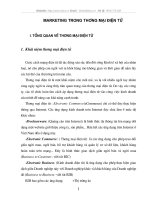 Marketing trong th­ương mại điện tử