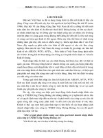 Một số giải pháp nhằm nâng cao hiệu quả kinh doanh nhập khẩu của công ty TNHH Hoàng Anh