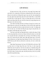 Giải pháp phát triển dịch vụ thẻ TDQT tại Ngân hàng Công thương Việt Nam”