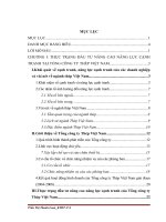 Một số giải pháp nhằm tăng cường hoạt động đầu tư nâng cao năng lực cạnh tranh của Tổng công ty Thép Việt Nam