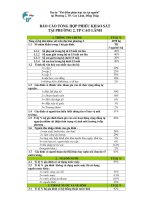 báo cáo tổng hợp phiếu khảo sát tại phường 2, thành phố Cao Lãnh