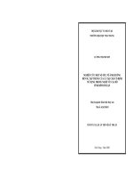 NGHIÊN CỨU MỘT SỐ YẾU TỐ ẢNH HƯỞNG ĐẾN SỰ TẬP TRUNG CỦA CÁ TẠI CHÀ CỐ ĐỊNH SỬ DỤNG TRONG NGHỀ VÂY XA BỜ TỈNH BÌNH THUẬN