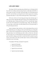 những cam kết song phương và đa phương mà Việt Nam đã cam kết trong WTO.