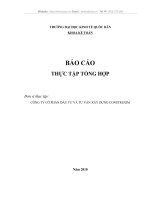 TỔ CHỨC BỘ MÁY KẾ TOÁN VÀ HỆ THỐNG KẾ TOÁN TẠI CÔNG TY CONSTREXIM I.C.C