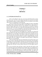 tính toán thiết kế hệ thống xử lý nước thải nhà máy sản xuất tinh bột mì