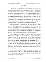 125 Hoàn thiện công tác quản trị Marketing tại Công ty cổ phần Đầu tư sản xuất thương mại SKY