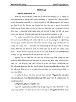 Nguyên tắc xác định cha, mẹ cho con trong hệ thống pháp luật Việt Nam