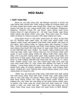 thiết kế hệ thống xử lý nước thải nhà máy chế biến tinh bột khoai mỳ Bình Dương