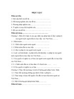 Địa vị pháp lý của người nước ngoài đầu tư trực tiếp vào Việt Nam