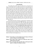 Một số giải pháp nhằm nâng cao hiệu quả sử dụng vốn lưu động tại Công ty TNHH Tân Thành