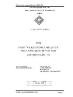 PHÂN TÍCH KHẢ NĂNG SINH LỢI CỦA  NGÂN HÀNG QUỐC TẾ VIỆT NAM CHI NHÁNH CẦN THƠ