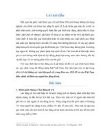 hệ thống các văn kiện quốc tế, trong khu vực ASEAN và của Việt Nam điều chỉnh tới lĩnh vực người lao động di trú