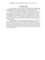 các biện pháp chống sản xuất, buôn bán hàng giả trong các doanh nghiệp Việt Nam