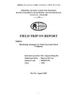 Marketing strategies in Vinh Son Joint Stock Company