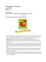 Phân tích chiến lược kinh doanh của hệ thống bán lẻ của siêu thị Big C