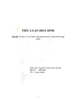 Sơ lược về các bước tổng hợp protein có hoạt tính mong muốn