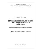 Lập kế hoạch kinh doanh năm 2006 cho doanh nghiệp tư nhân Phước Chung