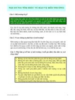 nội dung tìm hiểu về bảo vệ môi trường