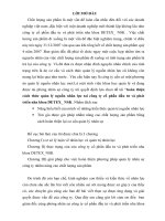 46 Hoàn thiện cách thức quản lý nguồn nhân lực tai Công ty cổ phần đầu tư và phát triển nha khoa DETEX NSK 