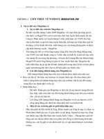 CÁC GIẢI PHÁP TRUYỀN THÔNG CHO WEBSITE