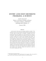 ENTRY AND EXIT DECISIONS PROBLEM: A SURVEY