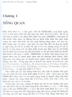 Đánh giá  lớp phép biến hình Á bảo  giác lên vành khăn  bị cắt theo các cung tròn đối xứng  quay 3