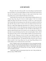 Hoàn thiện tổ chức kế toán tập hợp chi phí sản xuất và tính giá thành sản phẩm tại công ty TNHH Tân Mỹ