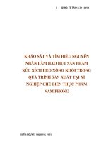 khảo sát và tìm hiểu nguyên nhân làm hao hụt sản phẩm xúc xích heo xông khói trong quá trình sản xuất tại xí nghiệp chế biến thực phẩm Nam Phong