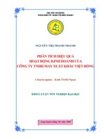 Phân tích hiệu quả hoạt động kinh doanh của công ty TNHH May xuất khẩu Việt Nam