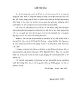 Thiết kế hệ thống thoát nước thành phố Cao Lãnh