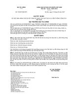 QUYẾT ĐỊNH VỀ VIỆC BAN HÀNH CHẾ ĐỘ KẾ TOÁN ÁP DỤNG CHO QUỸ DỊCH VỤ VIỄN THÔNG CÔNG ÍCH VIỆT NAM