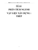 PHÂN TÍCH NGÀNH VẬT LIỆU XÂY DỰNG : THÉP