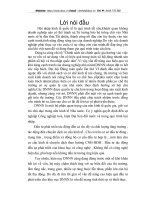 Nội dung cơ bản về đầu tư phát triển trong doanh nghiệp. Phân tích tình hình đầu tư trong hệ thống doanh nghiệp nhà nước