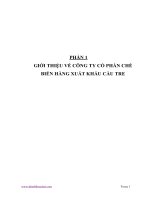 CÔNG TY CỔ PHẦN CHẾ BIẾN HÀNG XUẤT KHẨU CẦU TRE