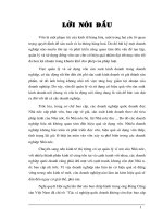 Vốn lưu động và một số giải pháp nhằm nâng cao hiệu quả sử dụng vốn lưu động tại nhà máy cơ khí gang thép