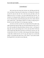 LỊCH SỬ PHÁT TRIỂN CỦA CÔNG TY CỔ PHẦN BIA VÀ NƯỚC GIẢI KHÁT VIỆT HÀ