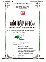 Phân tích hệ thống thông tin kế toán quản lý bán hàng  tại Đà Nẵng Mễ Cốc Công ty