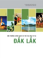 Môi trường chính sách và thủ tục đầu tư tại đăk lăk