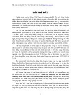 Nâng cao hiệu quả tiêu thụ hàng thủ công mỹ nghệ ở Hà Tây- các phương hướng và giải pháp