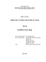 Thiết kế và phân tích hệ thống, Luồng cực đại