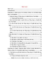 GIẢI PHÁP NÂNG CAO KHẢ NĂNG CẠNH TRANH CỦA TỔNG CÔNG TY CỔ PHẦN DỆT MAY NAM ĐỊNH