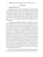 Mở rộng cho vay tiêu dùng tại Ngân hàng thương mại cổ phần Đông Nam Á