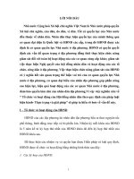 Tổ chức và hoạt động của Hội đồng nhân dân theo quy định của pháp luật hiện hành- Thực trạng và giải pháp