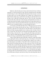 Thực trạng và giải pháp hoạt động đầu tư nhằm nâng cao năng lực cạnh tranh của công ty TNHH thiết bị khoa học kỹ thuật Hải Ly