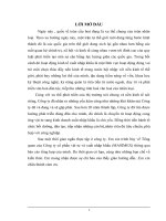 PHƯƠNG HƯỚNG PHÁT TRIỂN VÀ NHIỆM VỤ CHIẾN LƯỢC CUẢ CÔNG TY MASIMEX