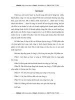 Bài thực tập tổng quan về công ty Gia Long