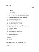 Tổng quan về công ty giầy Thượng Đình