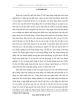 Tình hình thẩm định dự án đầu tư vay vốn tại ngân hàng liên doanh Lào Việt chi nhánh Hà Nội