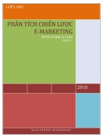 Phân tích chiến lược e- marketing